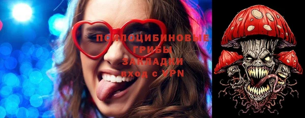 гидра Белокуриха