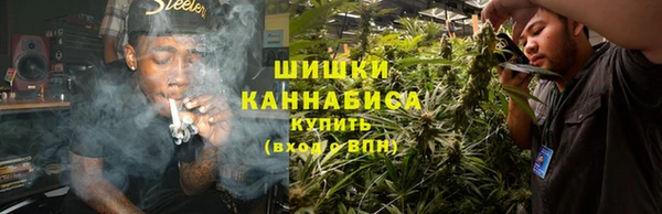 гидра Белокуриха